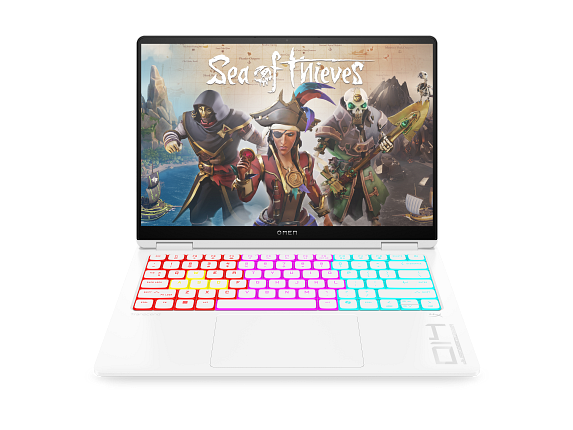 The laptop store picture.