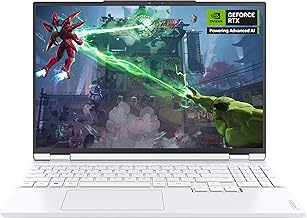 The laptop store picture.