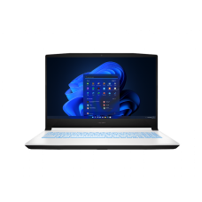 The laptop store picture.