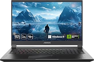 The laptop store picture.